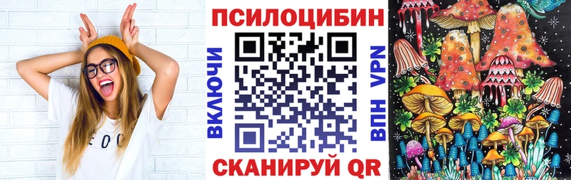 сколько стоит  Дальнереченск  Галлюциногенные грибы Cubensis 