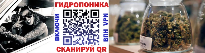 купить наркотики цена  Дальнереченск  Канабис конопля 